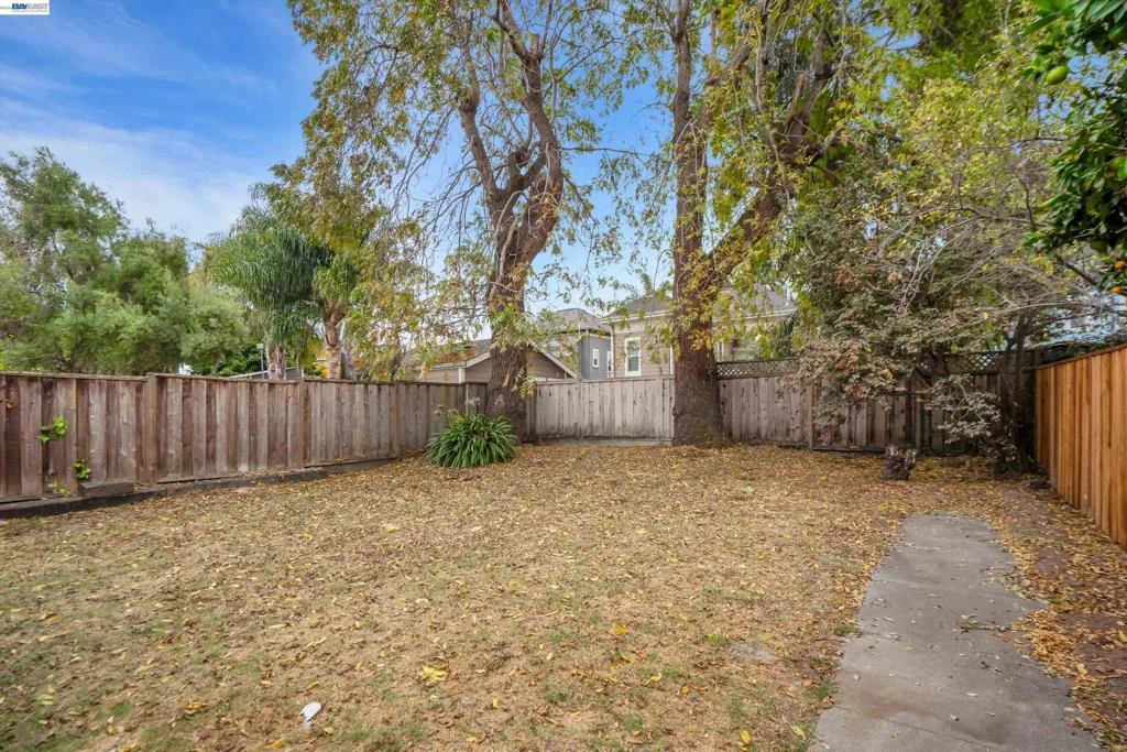 Generous fenced backyard with a mature walnut tree